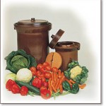 Fermenting Vegetables